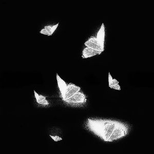 欧美加长玩具肛交视频
